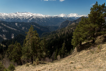 Similar image 19793936