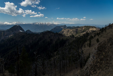 Similar image 19793939