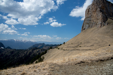 Similar image 19793880