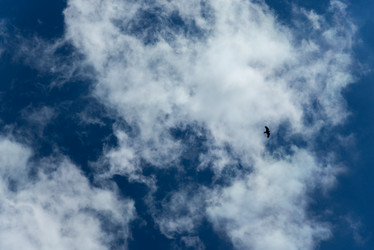 Similar image 19793900