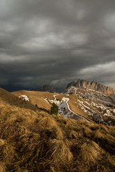 Similar image 19793697