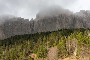 Similar image 19793706