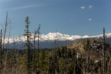 Similar image 19793431