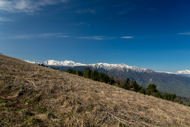 Similar image 19793447