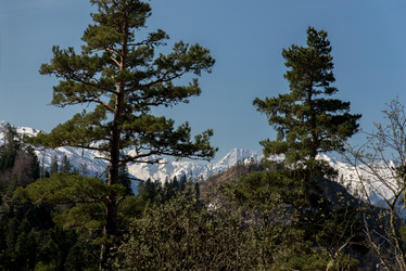 Similar image 19793471