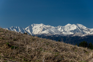 Similar image 19793484