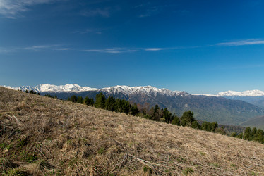 Similar image 19793483