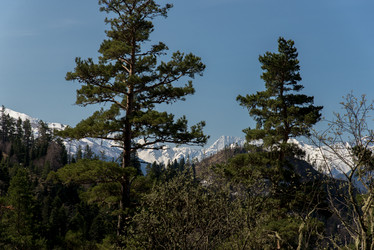 Similar image 19793509