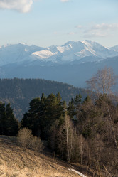 Similar image 19793577