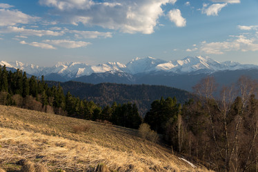 Similar image 19793599