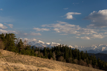 Similar image 19793603