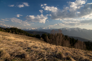 Similar image 19793606