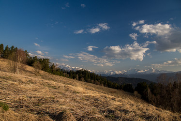 Similar image 19793620