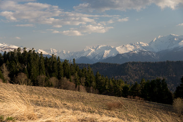 Similar image 19793622