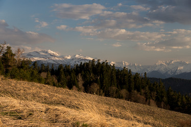 Similar image 19793637