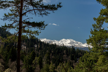 Similar image 19793661