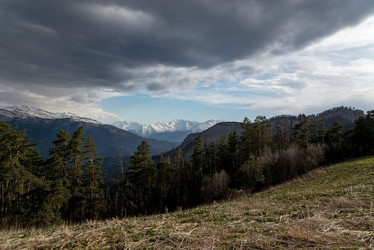 Similar image 19793667