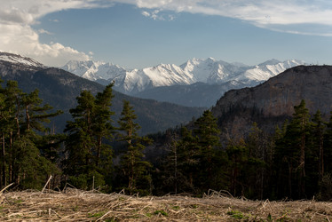 Similar image 19793673