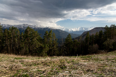 Similar image 19793677