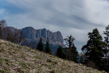 Similar image 19793678