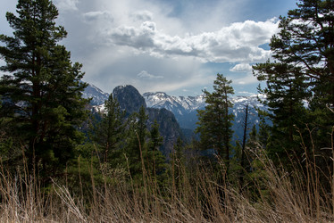 Similar image 19793688