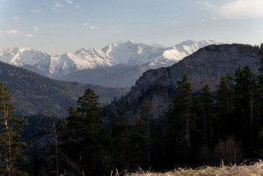 Similar image 19793731