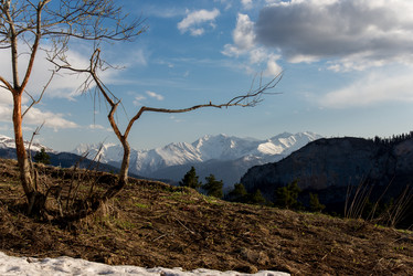 Similar image 19793732