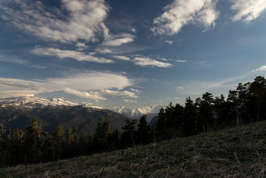 Similar image 19793768