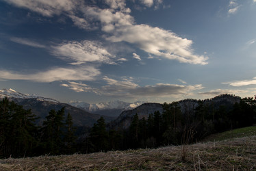 Similar image 19793798