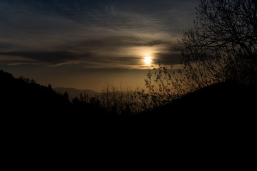 Similar image 19793817