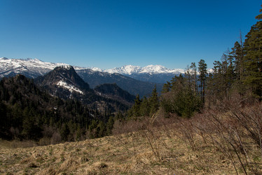 Similar image 19793885