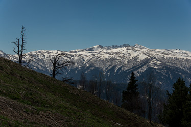 Similar image 19793888