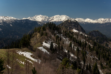 Similar image 19793902