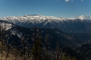 Similar image 19793903