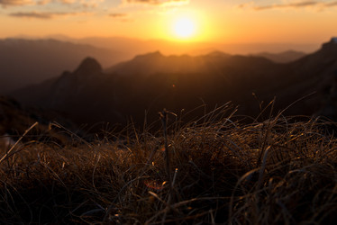 Similar image 19793490