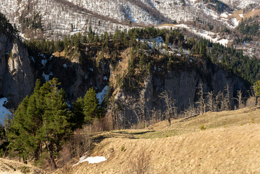 Similar image 19793514