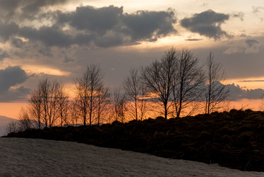 Similar image 19793584