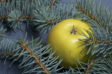 Similar image 19774111