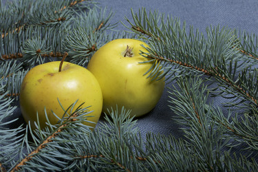 Similar image 19774112