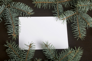 Similar image 19774183