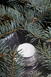 Similar image 19774226