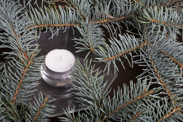 Similar image 19774227