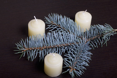 Similar image 19774229