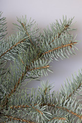 Similar image 19774250