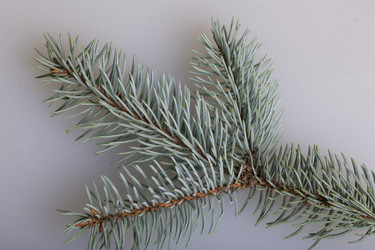 Similar image 19774251