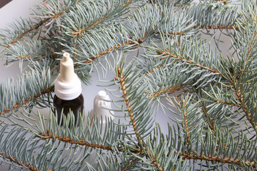 Similar image 19774266