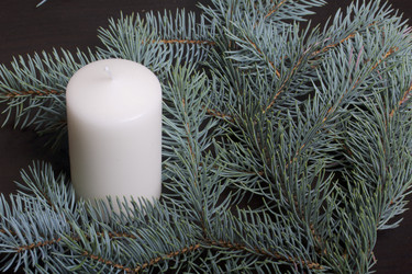 Similar image 19774301