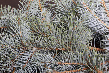 Similar image 19774303