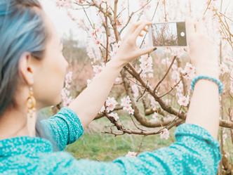 Similar image 19556178