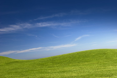 Similar image 19562586